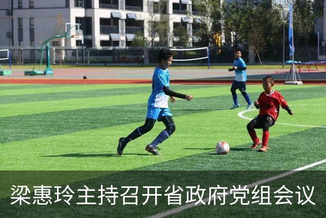 梁惠玲主持召开省政府党组会议
